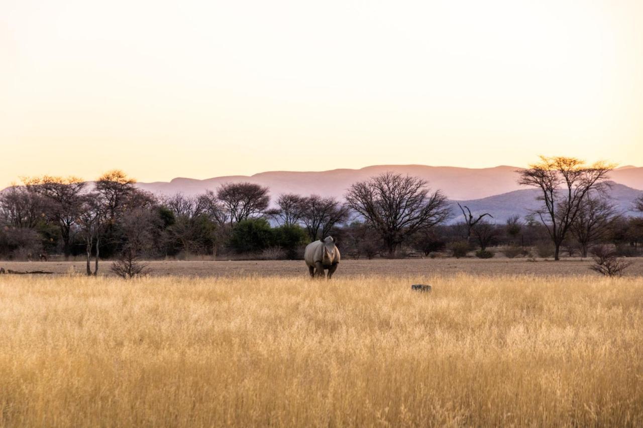Ugab Game Farm & Lodge Vingerklip Экстерьер фото